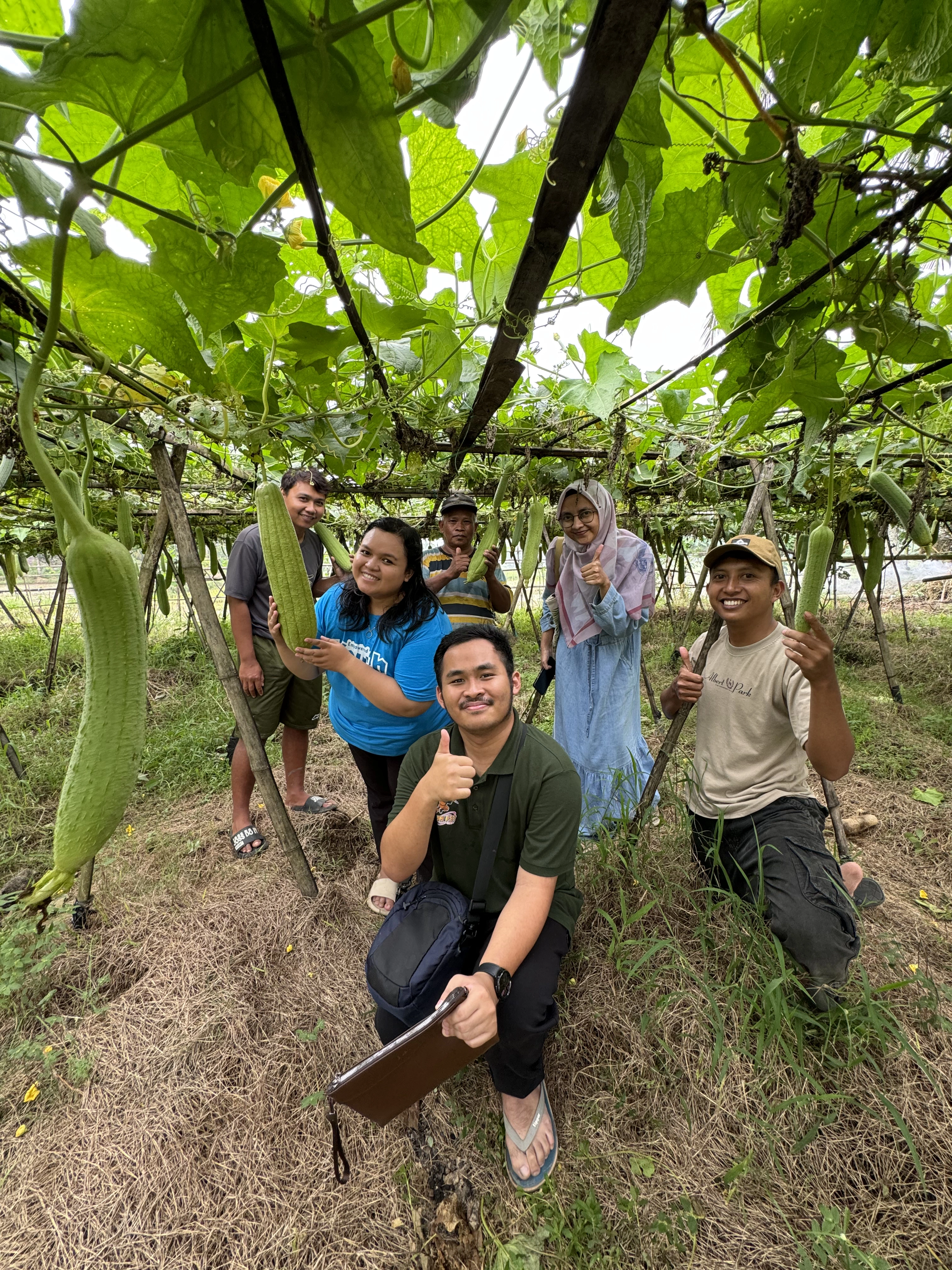 Natural loofah product