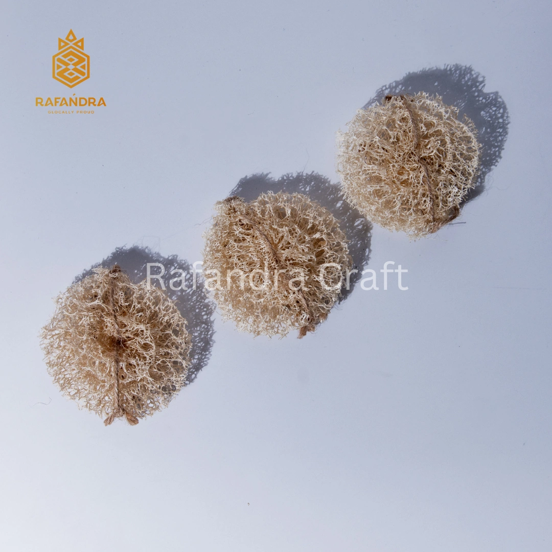 Rafandra Round Small Loofah Donuts (BR-LF2)