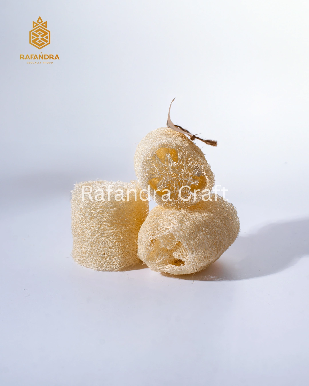 Rafandra Loofah 8-10 cm (PM-LF6)
